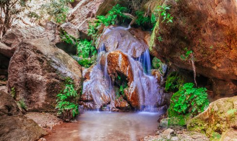 The Hidden Heart of Nature: A Guide to Butterfly Valley